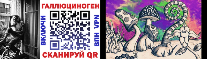 Купить  Джанкой  Псилоцибиновые грибы Psilocybine cubensis 
